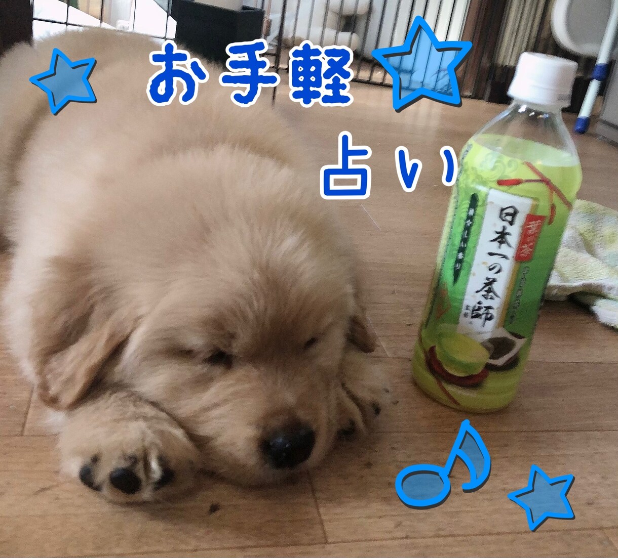 レベル1のお手軽占いになります 500円で気軽に占い❤︎YES or Noの鑑定もOK イメージ1