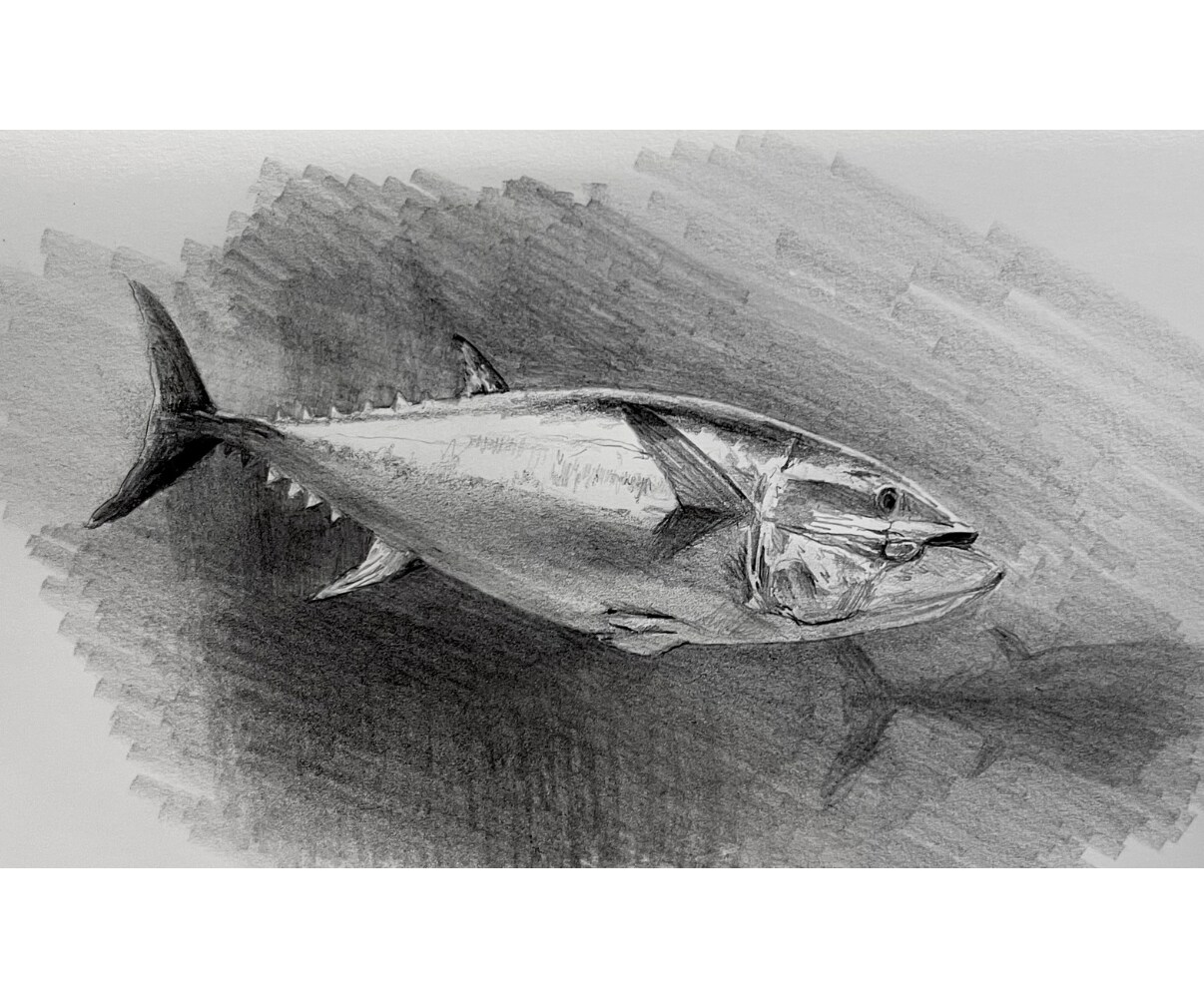 原画郵送♪  大切なペットを鉛筆でリアルに描きます 原画郵送/リアルな鉛筆スケッチ画/ポストカード〜A4まで イメージ5