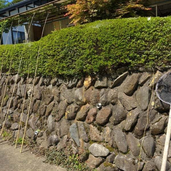 普段の生活での悩み、愚痴なんでも聞きます 悩みなどを打ち明けて少しでも気持ちが落ち着きますように イメージ1