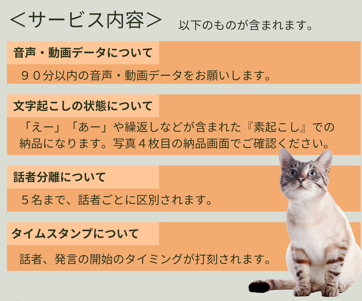 動画・音声90分まで2,000円で素起こします 【高精度AI対応】議事録やインタビューに最適！ イメージ2
