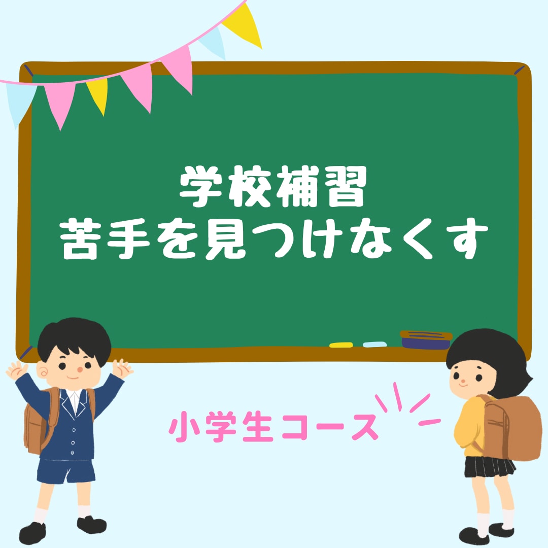 現役プロ家庭教師が小学生の専属補習授業をします 科目は「国語」「英語」「算数」「理科」「社会」 イメージ1