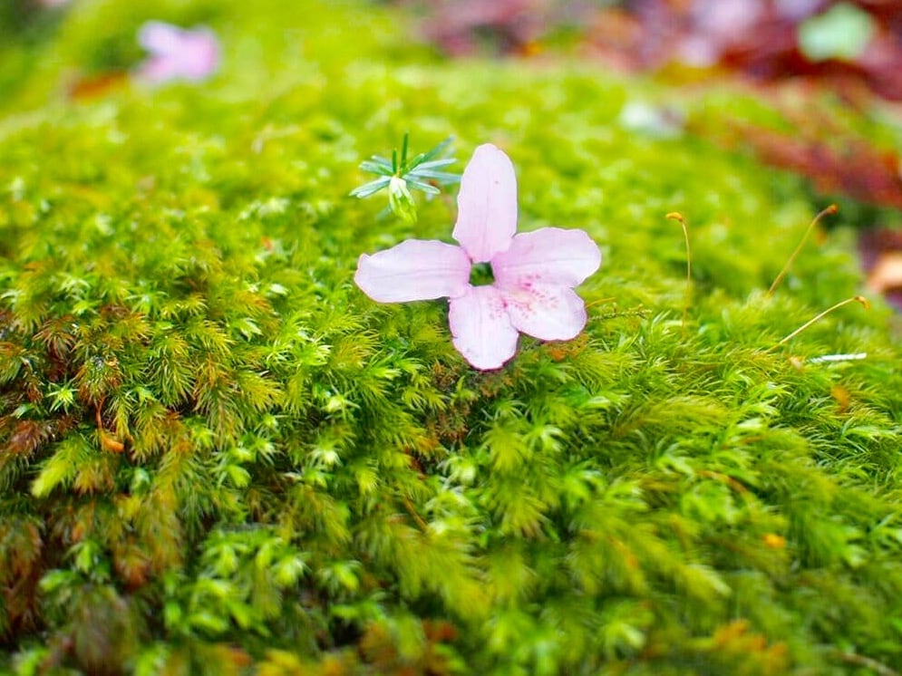 あなたのお悩み、笑顔(*^^*)に変えます モヤモヤがいやになっちゃったあなたへ。 イメージ2