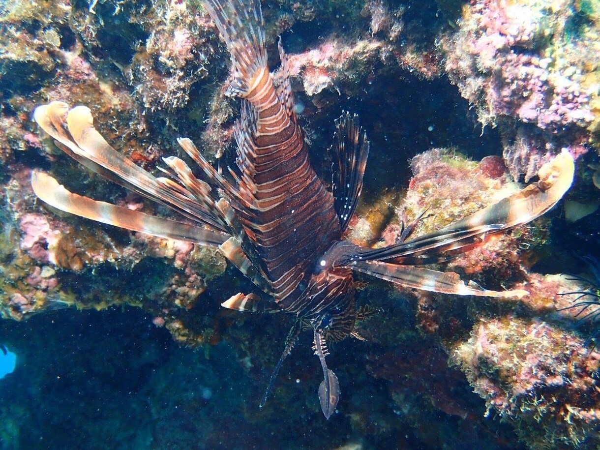 フリー素材提供します 海素材多め、風景など色々あります。 イメージ8