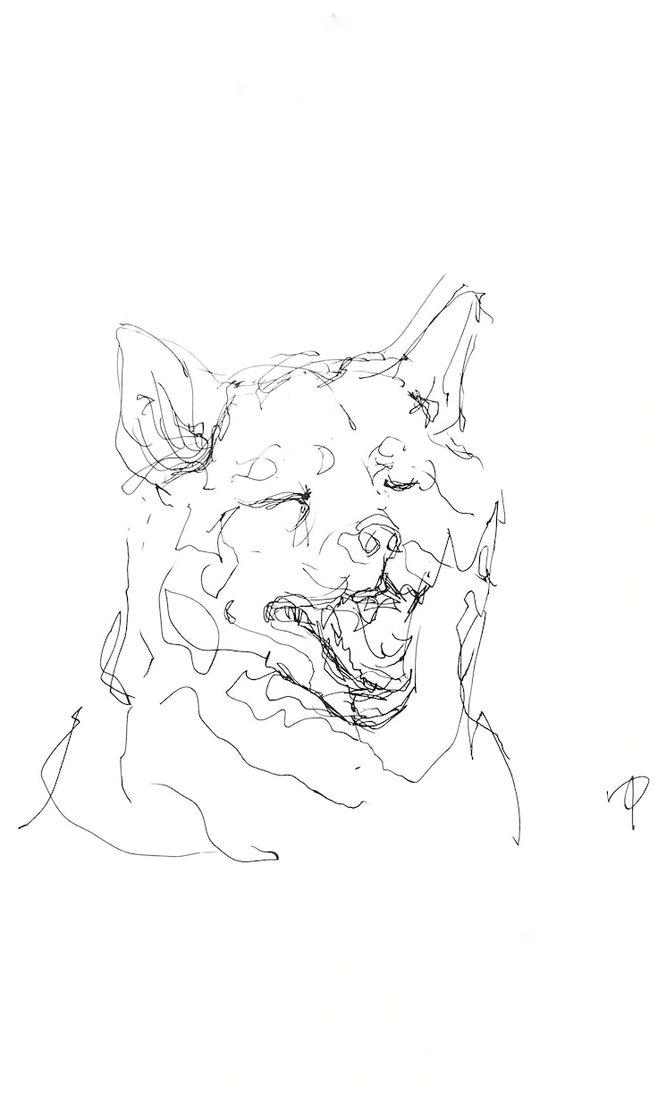 大切なペットの似顔絵をペン画で描きます 写真をもとにペン画を制作、原画と画像を納品します。 イメージ1