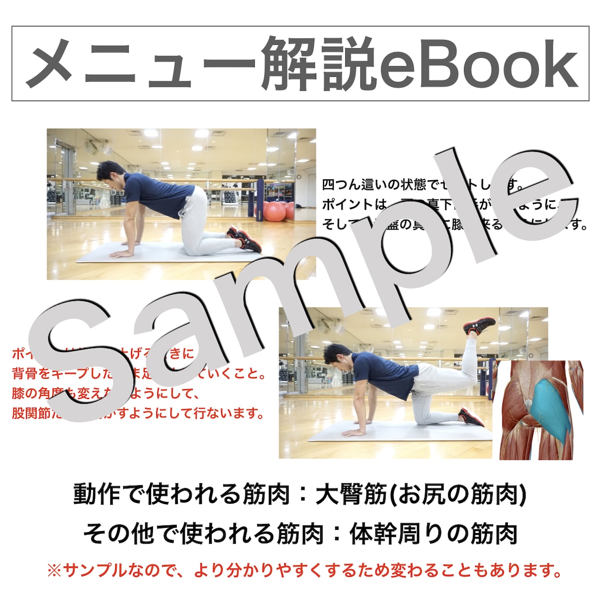 筋トレ初心者向け｜自宅メニューを動画付きで作ります 動画解説付きで安心！これから筋トレを始めるあなたをサポート！ イメージ6