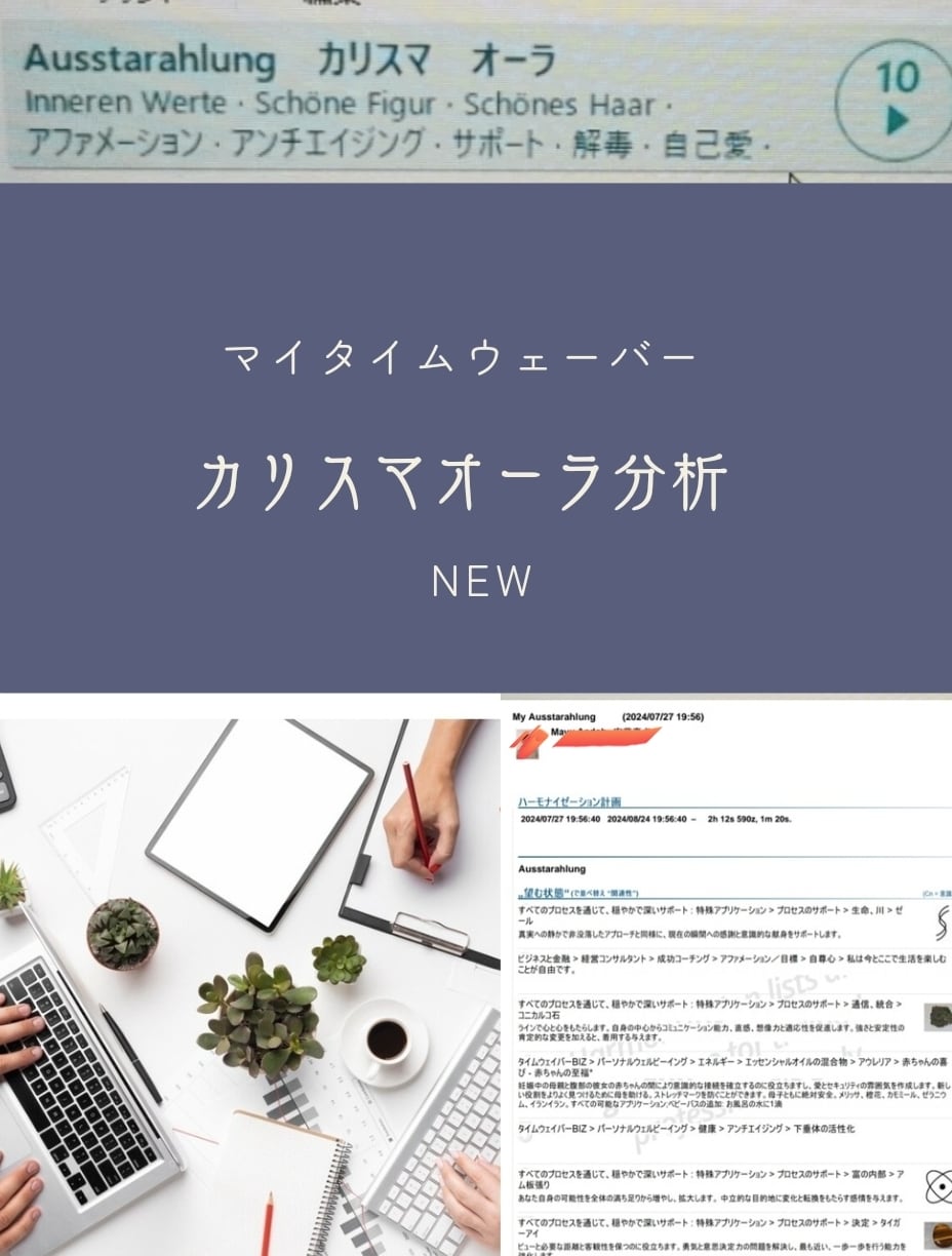今週1000円off　NEWメニュースタートします TWシェアリング 分かりやすい分析　豊かさタイムウェーバー イメージ5