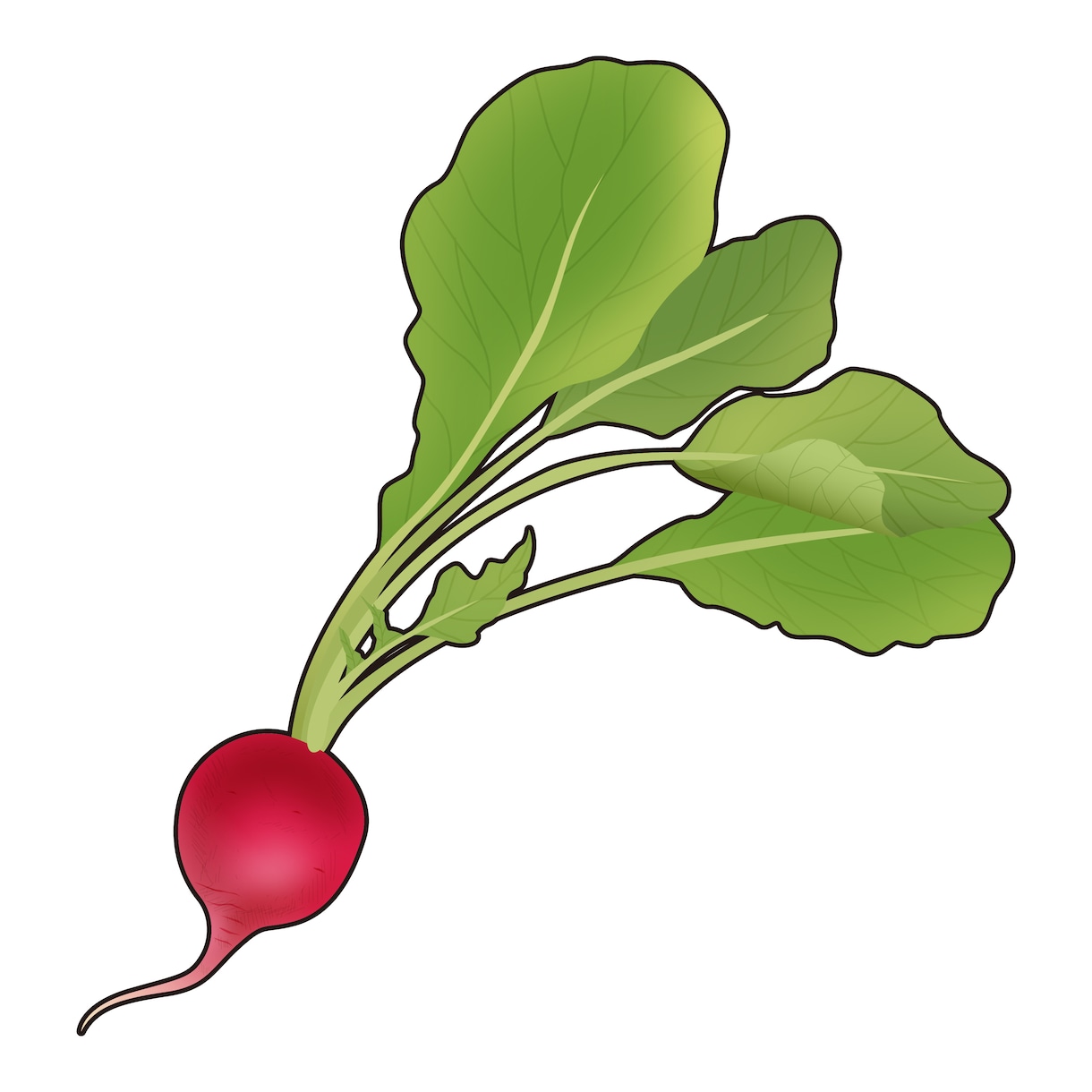 圧倒的シズル感のフードイラスト描きます 実務５年のプロのクオリティを今だけ！3名様限定ポッキリ価格 イメージ10