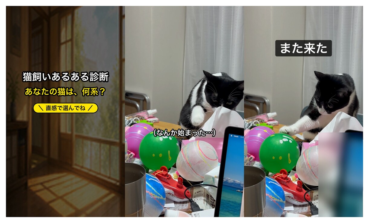 縦型ショート動画をキャラ×ナレ付きで制作します 思わずコメントしたくなる参加型ショート動画 イメージ6