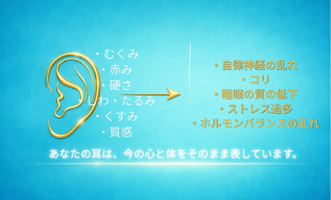 耳から心と体の状態を読み解きます あなたの不調の原因を耳から丁寧に読み解きます！ イメージ4