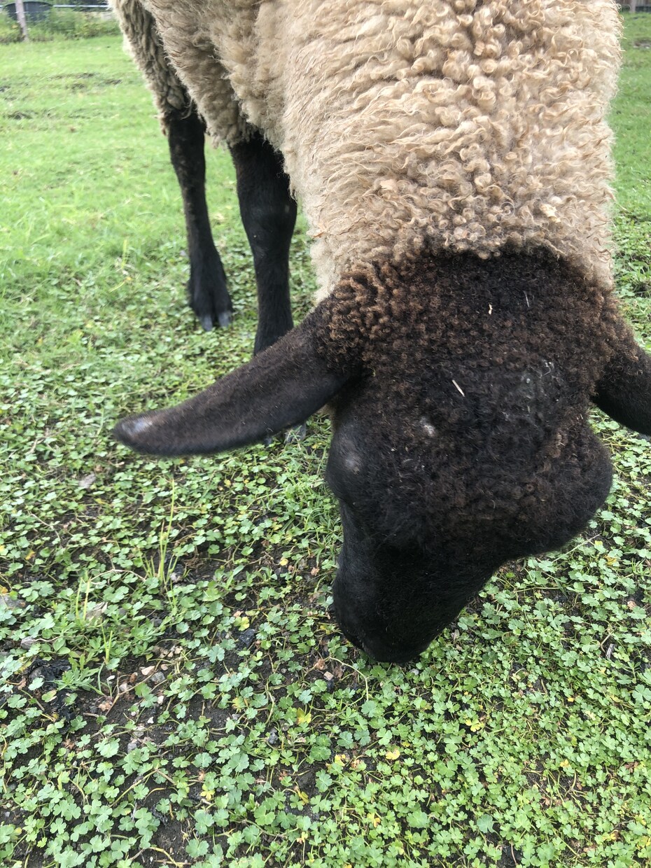 聞き役、悩み、恋愛、育児聞きます 心を開ける相手探していませんか？？ イメージ1