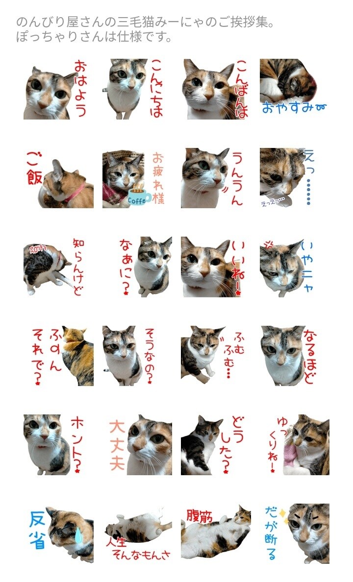 ゆるかわオリジナルLINEスタンプを作成します 名刺代わりにもなるゆるかわなオリジナルLINEスタンプ！ イメージ6