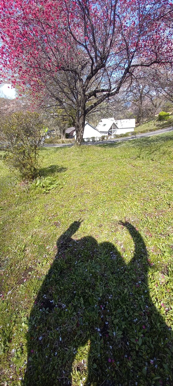 アドバイス実績多数  一緒にお悩み解決ます メンタル 家族 恋人 ご夫婦 不倫 どんな話でも イメージ2