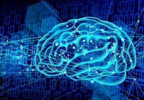 データのアノテーション ～モデル作成 まで行います deep learningの画像分類モデルを作成します。 イメージ1