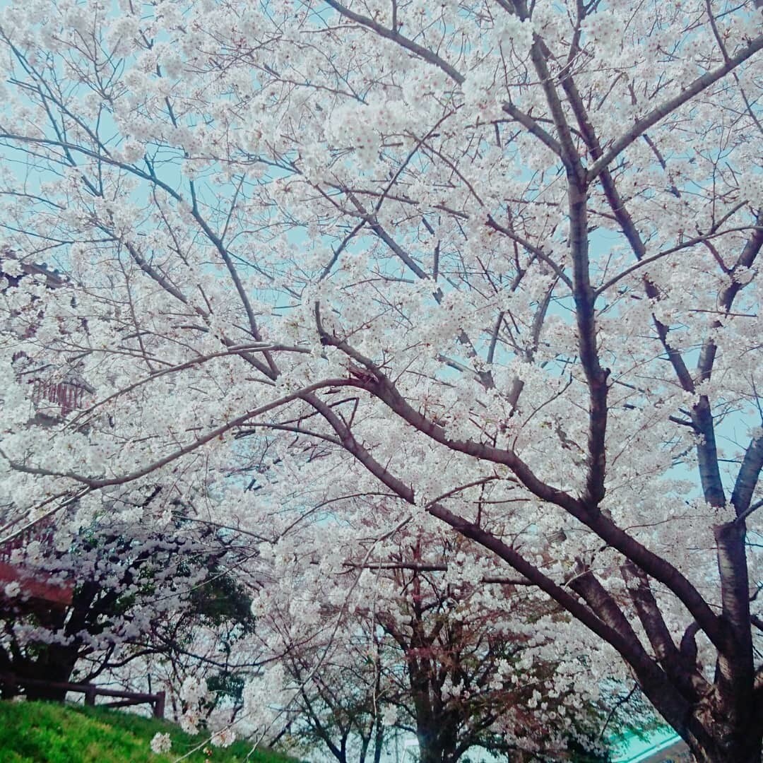 自分を本当に好きになる方法をお伝えします 自分を幸せにする方法がわからないあなたへ イメージ1