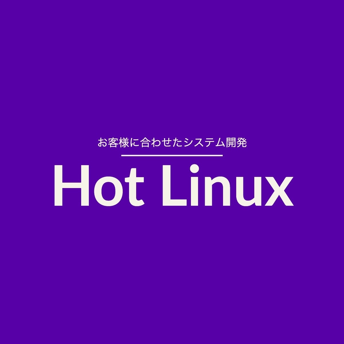 ご依頼者様に合わせたWEBシステムを開発します 開発から運用まで含めて、まとめて最適な形のご提案をしています イメージ6