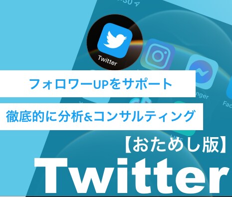 ツイッターのフォロワーUPサポートします 徹底的に分析&コンサルティング！丁寧にノウハウを教えます！ イメージ1