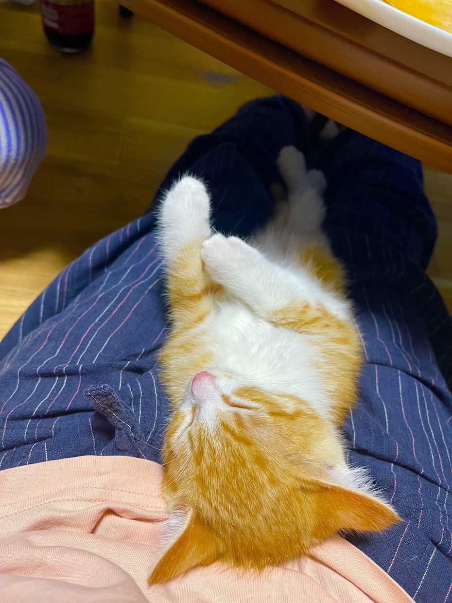 愚痴をお聞き致します ストレス発散しませんか？愚痴を思いっきりぶつけてください。 イメージ2