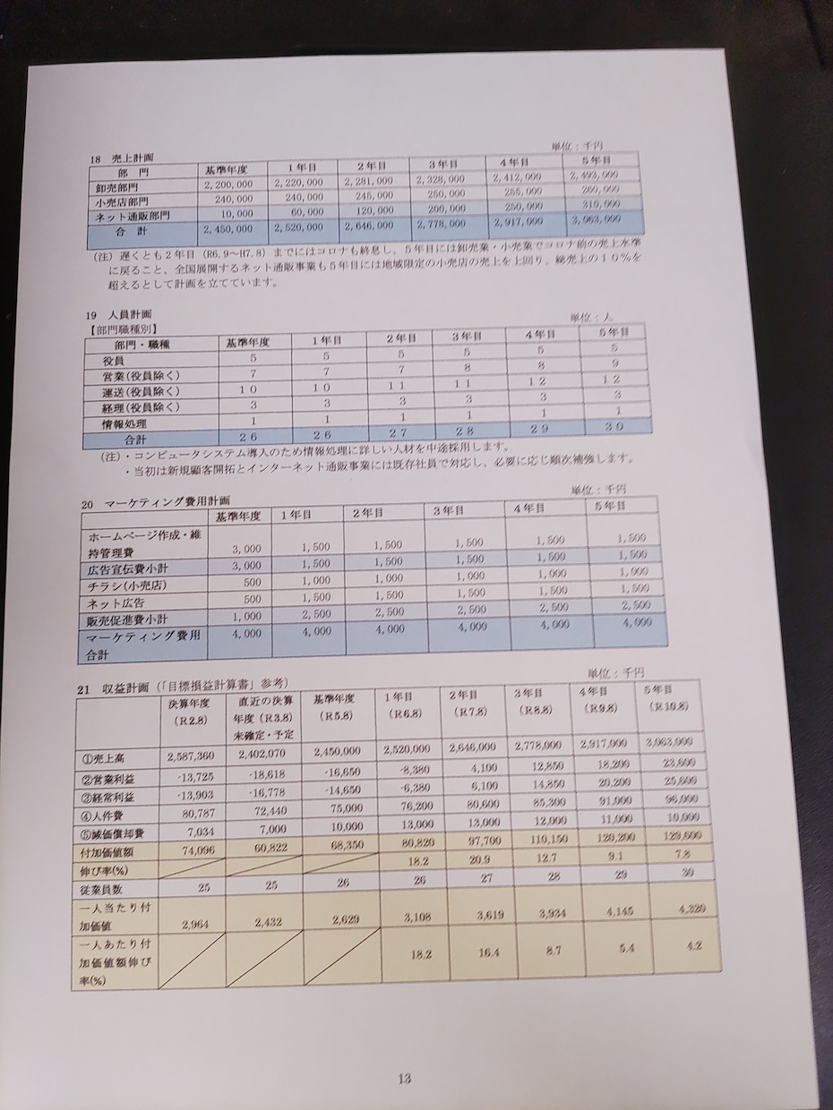 補助金申請、融資向けの事業計画書を作成します 成功へのストーリーが見える事業計画書を作りましょう イメージ5