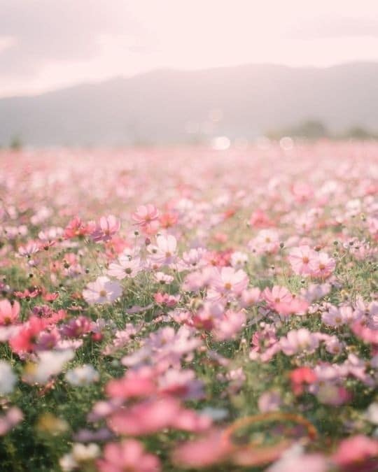 １分でも✨あなたの気持ちに寄り添います ♡おっとり癒し系の私とお話しませんか？/寂しい/もやもや/ イメージ4