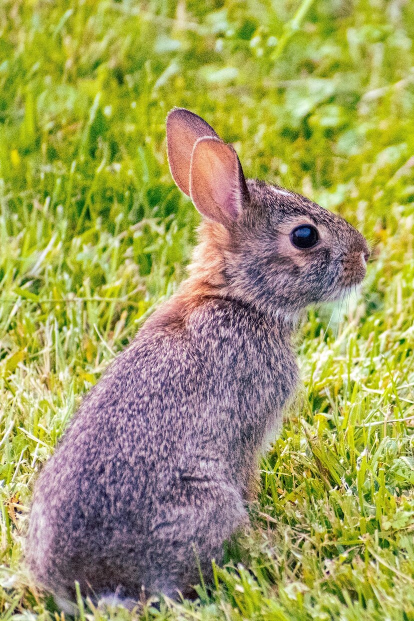あなたのお悩み教えてください、お相手します リラックスしてお話ししてみませんか？ イメージ1