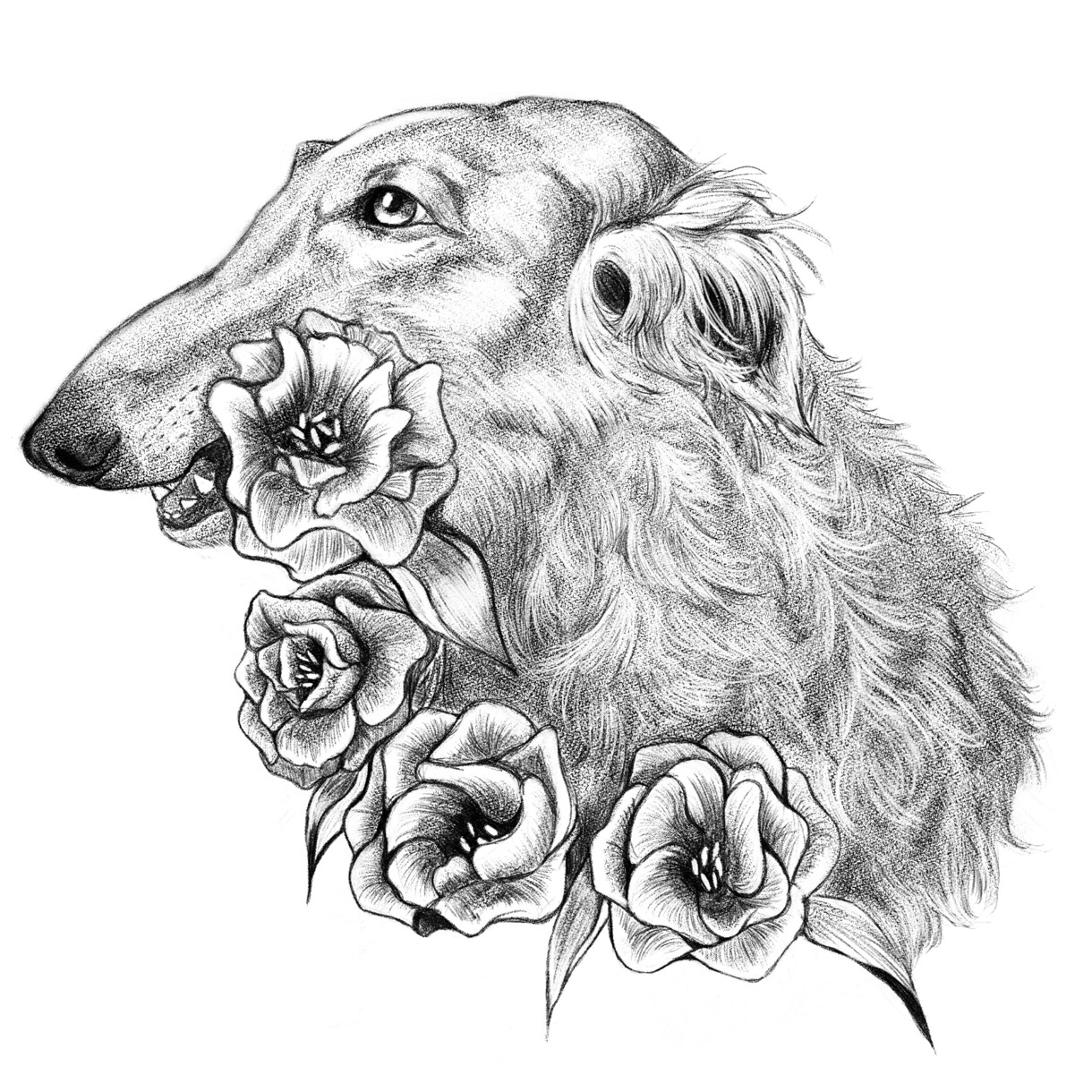 手描きで描く、動物の肖像画イラスト制作します 【先着5名様限定価格サービス中！】 イメージ1