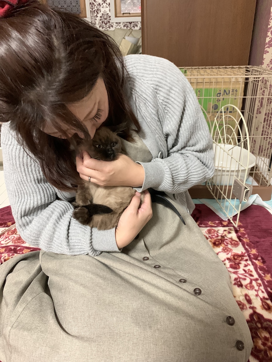 懐かない野良猫育ちも甘えん坊猫に飼育方法教えます 人に懐かなかった野良猫も貴方がつきまとわれるストーカー猫に イメージ1