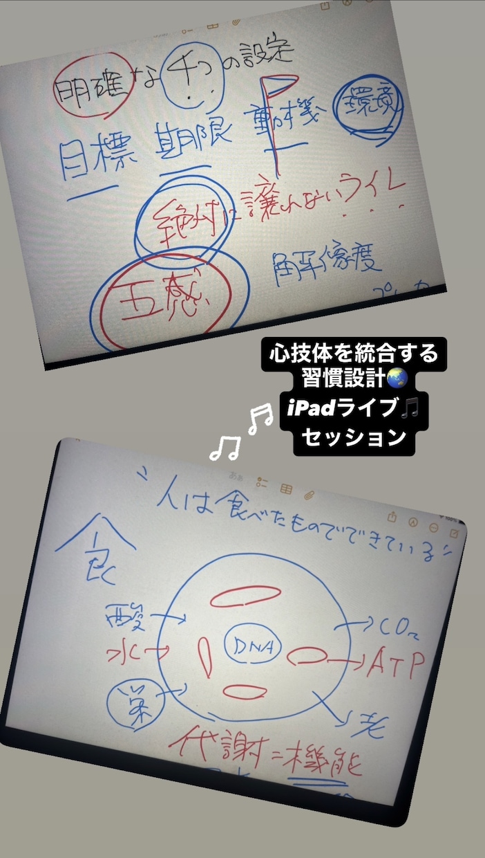 体調改善＆理想体型|27年実績! 習慣化伴走します 3名限定価格！体調不良と万年痩せたい卒業『習慣OS設定を今』 イメージ6