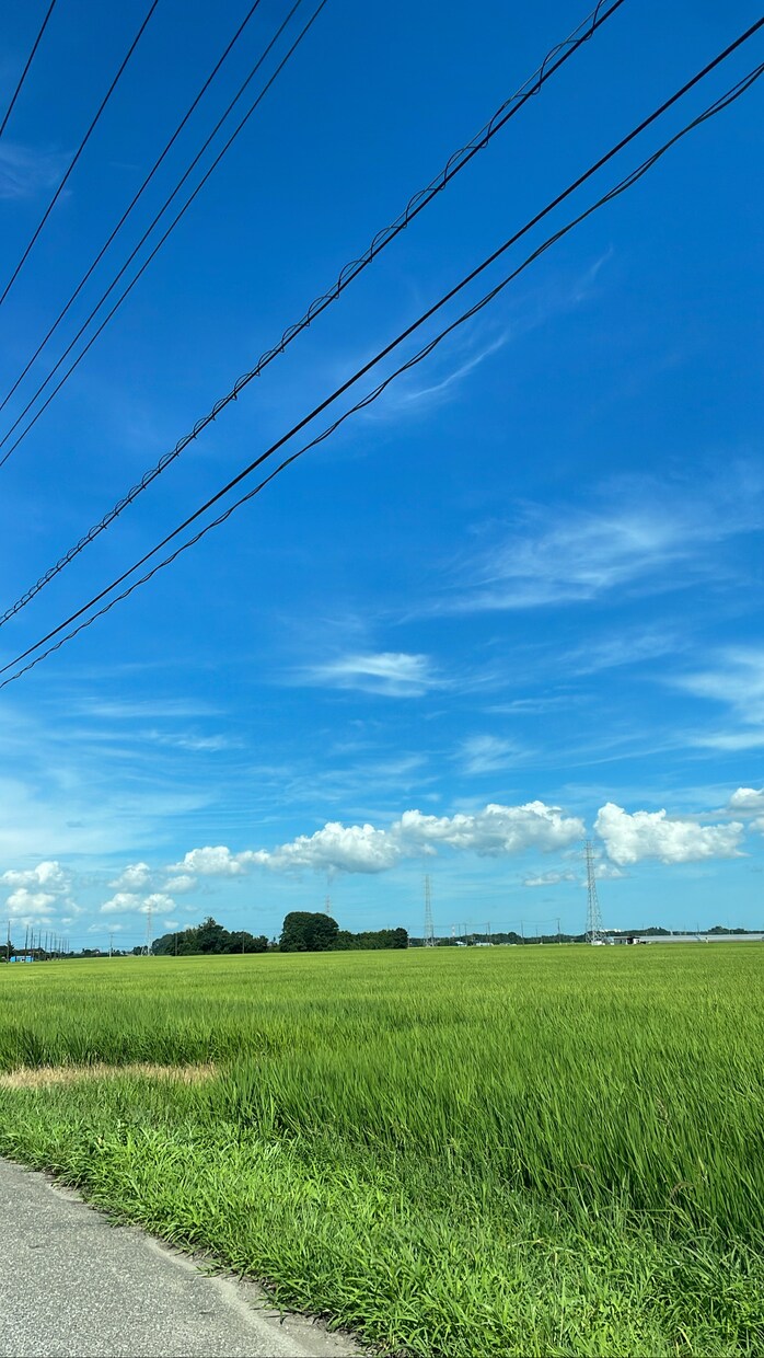 旅行などの動画を見やすくカット編集します 見やすく動画をカット編集いたします。 イメージ1