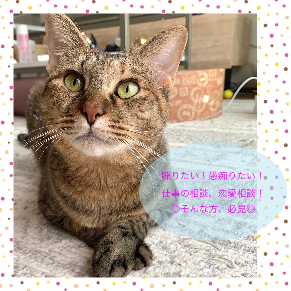 どんなことでも(o^^o)お話し聞きます 暇だな、今日誰とも話してないな、という方、お相手します◎ イメージ1