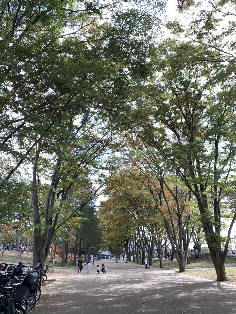 あなたとお話します 1分からでも大丈夫！！なんでも聞きます イメージ1