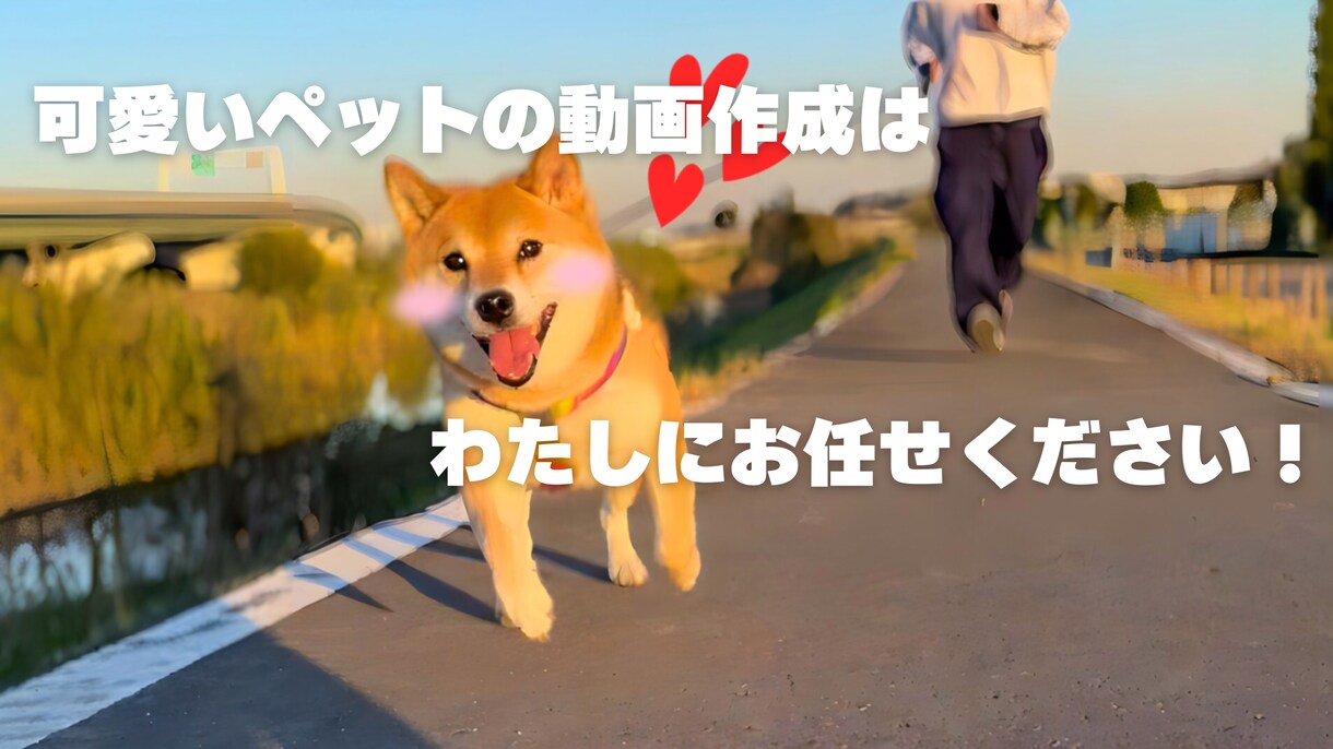 可愛いペットの動画編集いたします ペットの動画を最大限可愛く編集できます！！ イメージ1