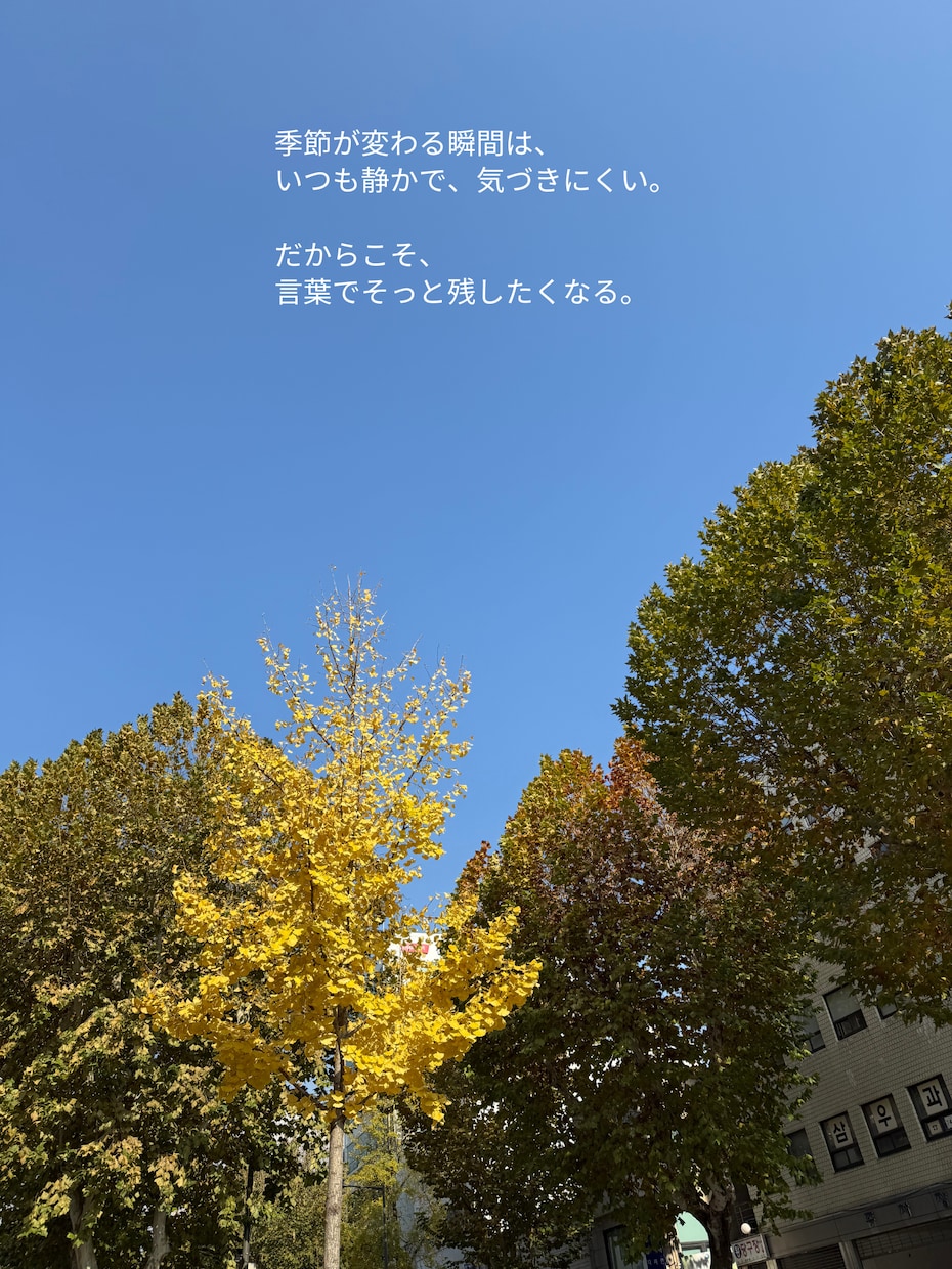 想いが伝わるインスタキャプションを書きます 投稿に悩む時間を減らし、伝わる言葉をお届けします イメージ3