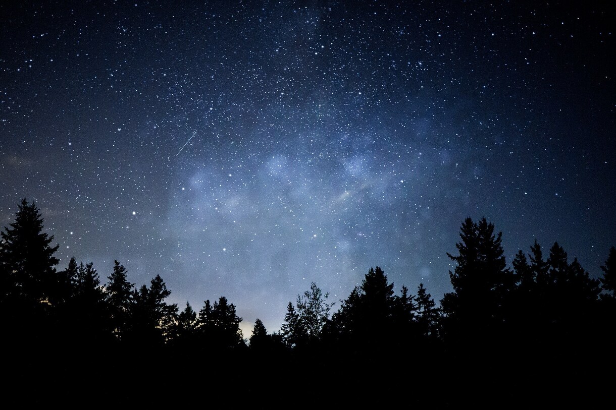 親子の相性☆西洋占星術で鑑定します 自分と子供との相性を知って子育てをもっと楽に楽しく！ イメージ7
