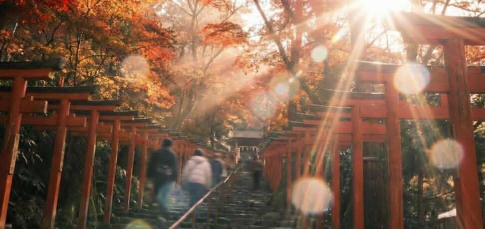 最後の恋愛占い【特上】不公平な愛を強制逆転させます 【強制縁結びの最上形】あなたの願いを具現化させます※悪用厳禁 イメージ6