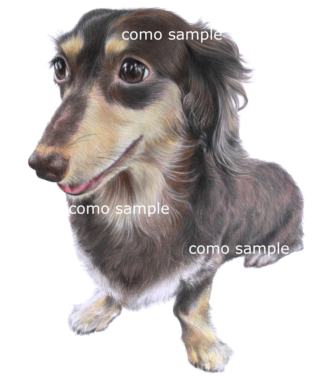 ハイクオリティなペット画を、色鉛筆で手描きします ♪精密描写＊ペットの肖像画＊記念プレゼント＊インテリアアート イメージ4