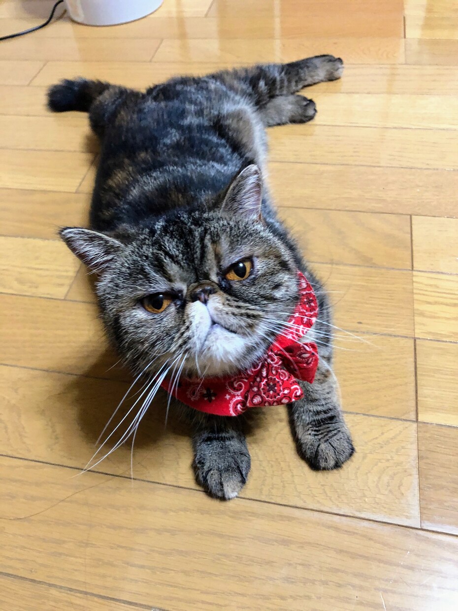 カウンセリング致します いじめ、不登校、家庭の悩み…打ち明けて下さい。 イメージ1