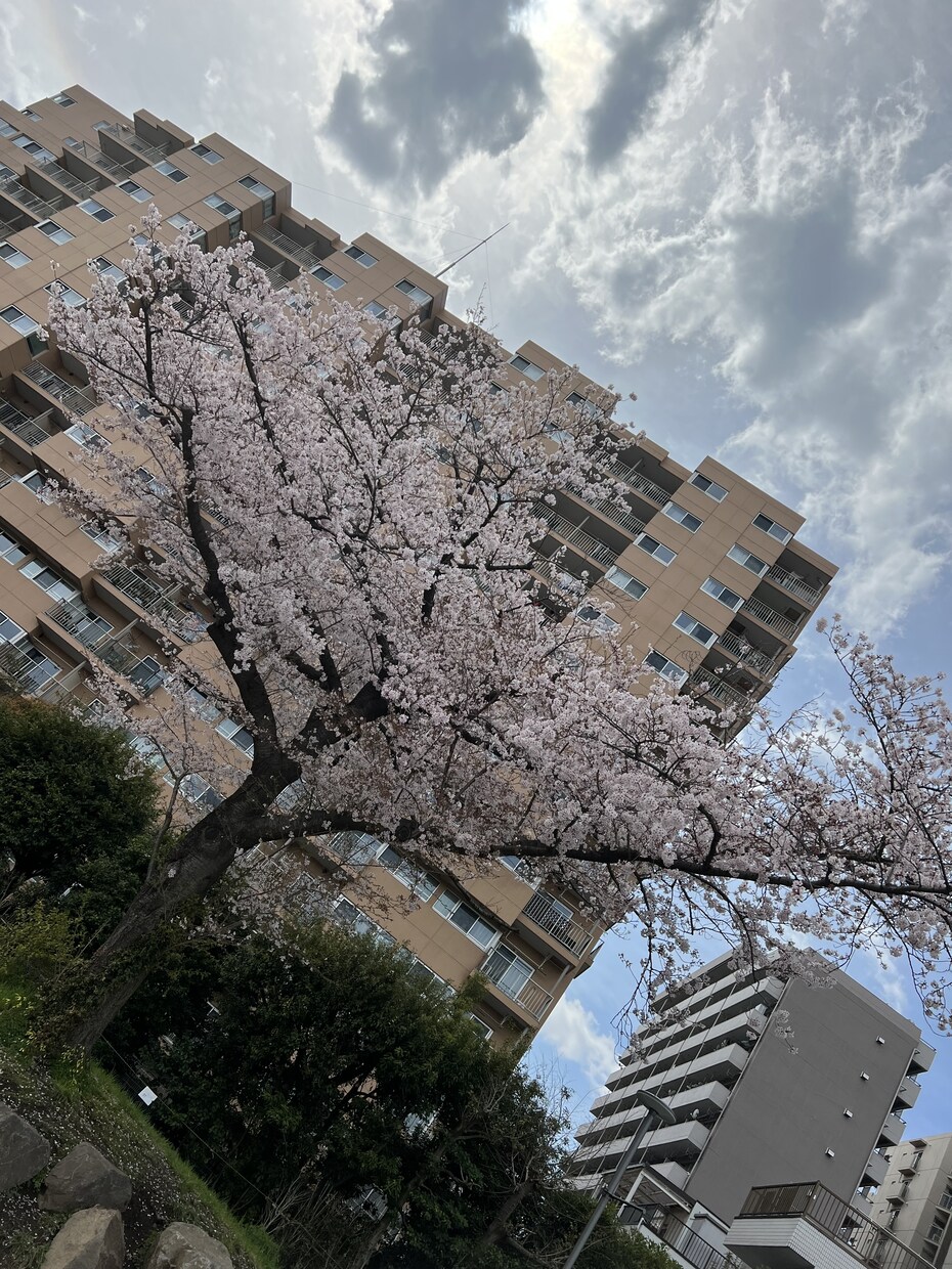 あなたのお話をじっくり聞きます どんなお悩みでも誠心誠意聞かせていただきたいです。 イメージ1