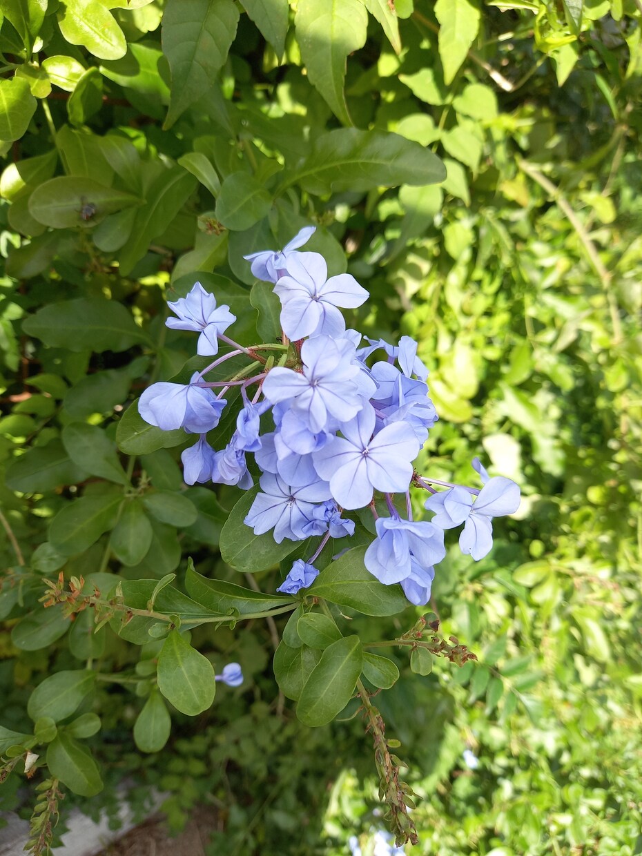 お話ききます あなたの悩みを聞かせてください！ イメージ1