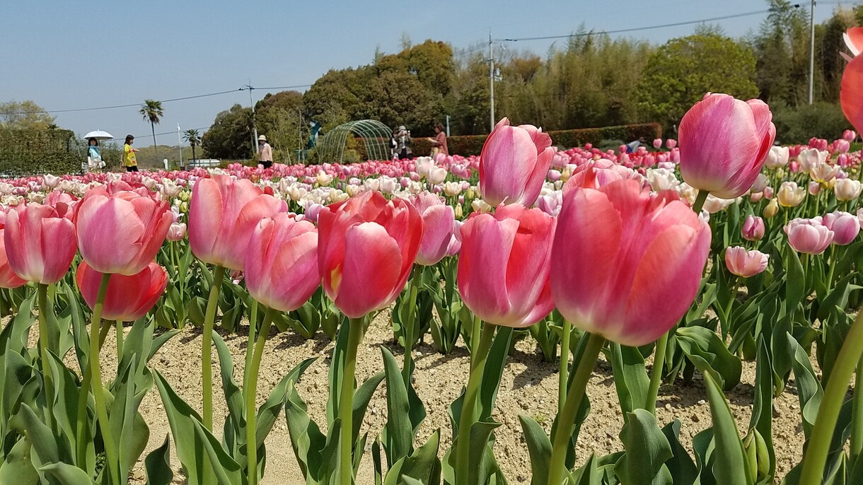 あなたのお悩みなんでも聞きます 愚痴や悩みを聞いてほしいあなたへ イメージ1
