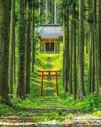 今の仕事運や人間関係をタロットで鑑定します 仕事の苦労や人間関係の悩みで嫌になってる貴方へ イメージ1
