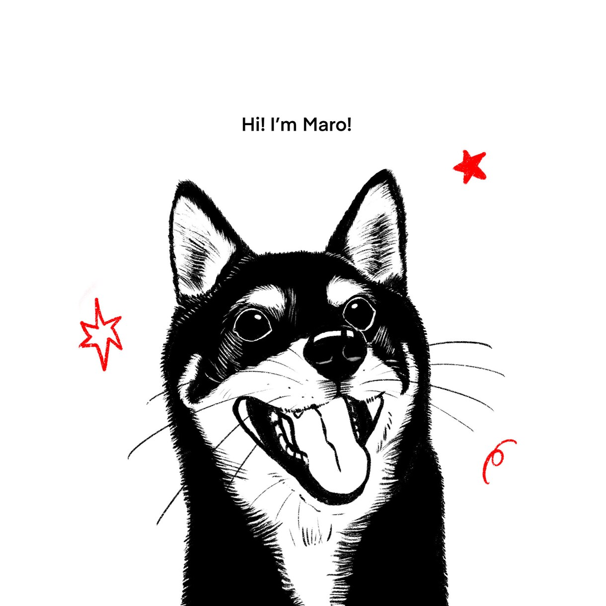 お洒落なペットイラスト描きます 写真をもとにお洒落で可愛いイラストを描きます！ イメージ8