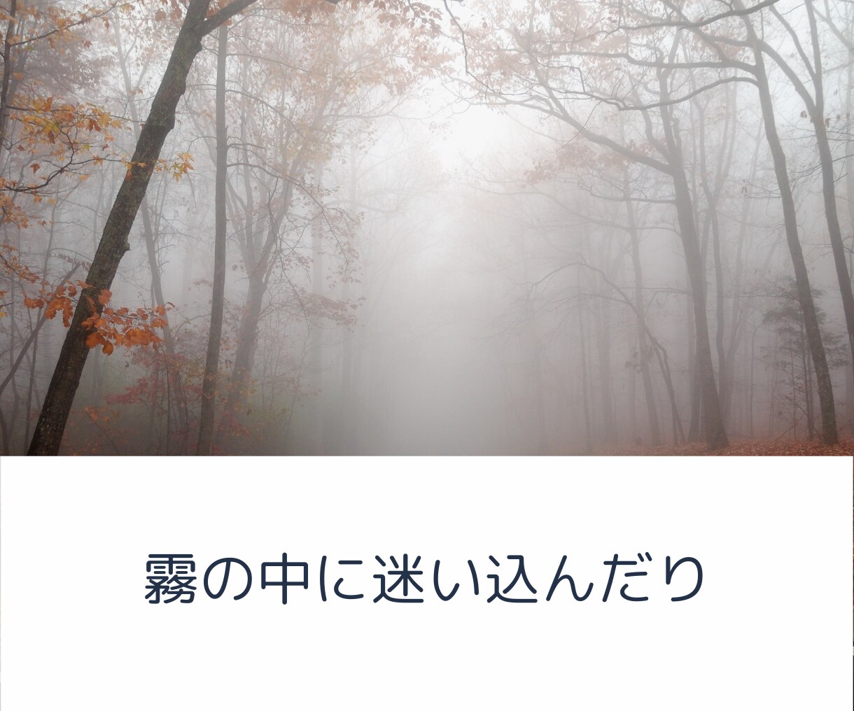 あなたの人生の流れをお伝えします 未来のエネルギーを知って、心の準備をしましょう☘️ イメージ4