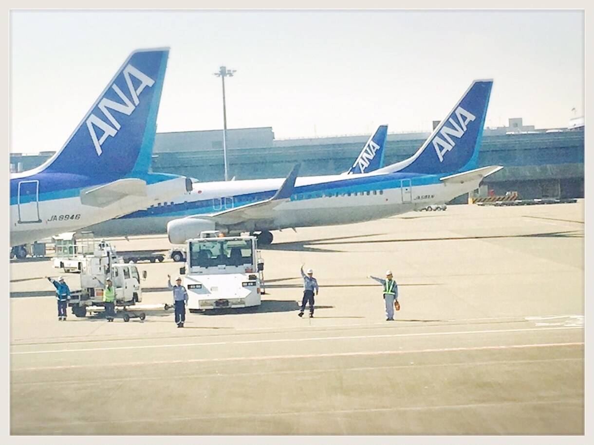 憧れの航空業界に…！転職履歴書相談うけます 航空業界、接客業が第一志望の方向け イメージ1
