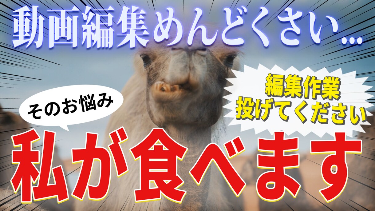 サブスク形式でカット・整音承ります めんどくさい編集作業、お手伝いさせてください！ イメージ1