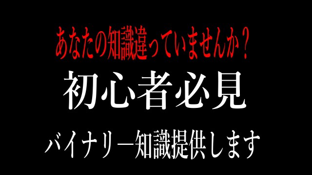 初心者必見☆バイナリー必須知識PDF販売します これからバイナリーを始める上で必要な知識をまとめてあります イメージ1