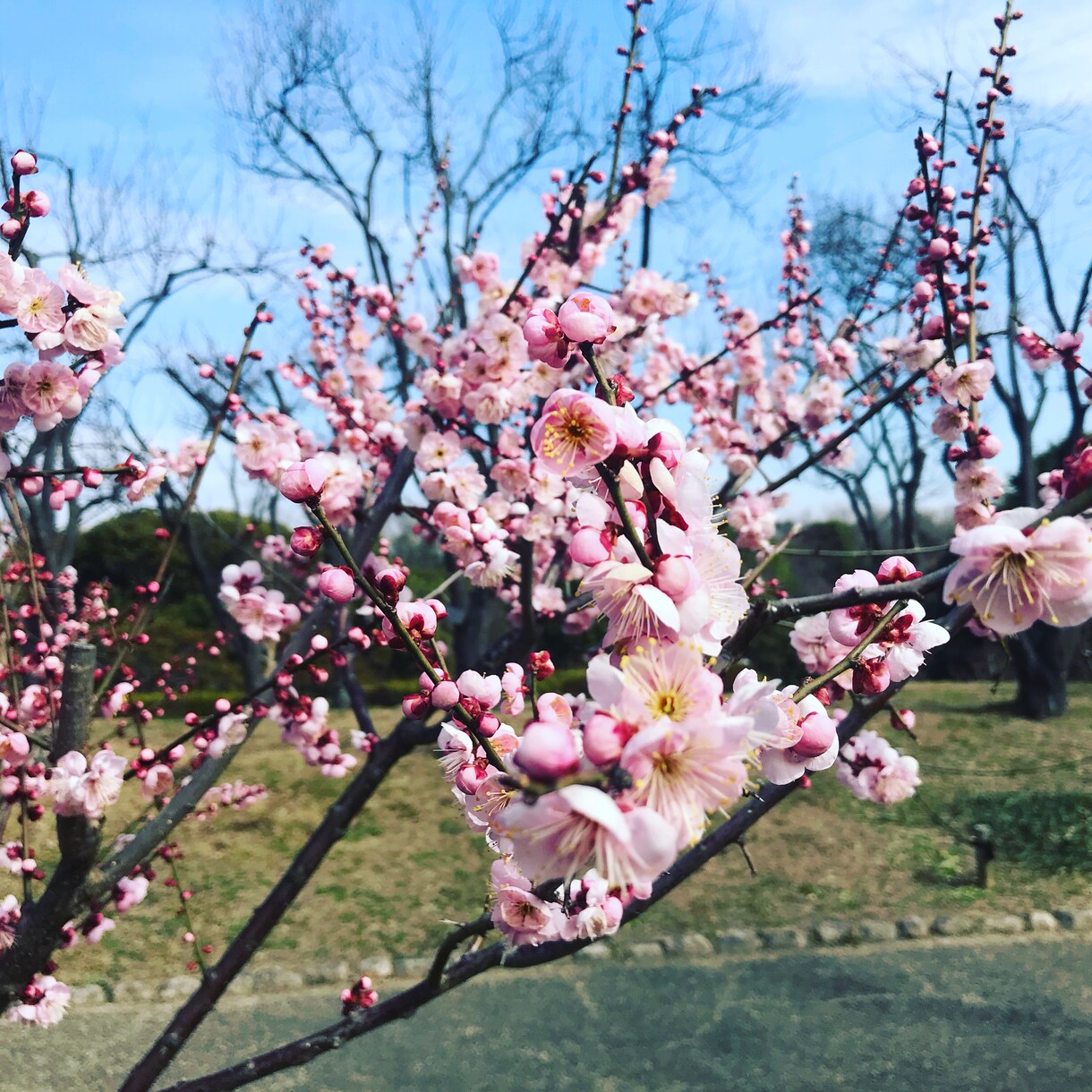 写真提供します 風景。三千円より安く提供します イメージ2