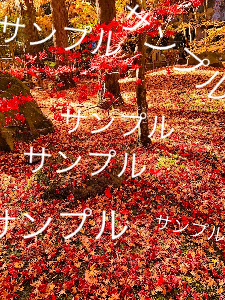 雰囲気のある美しい花・風景の写真素材を提供します 著作権フリーで四季折々の美しい写真をご自由にご利用ください。 イメージ2