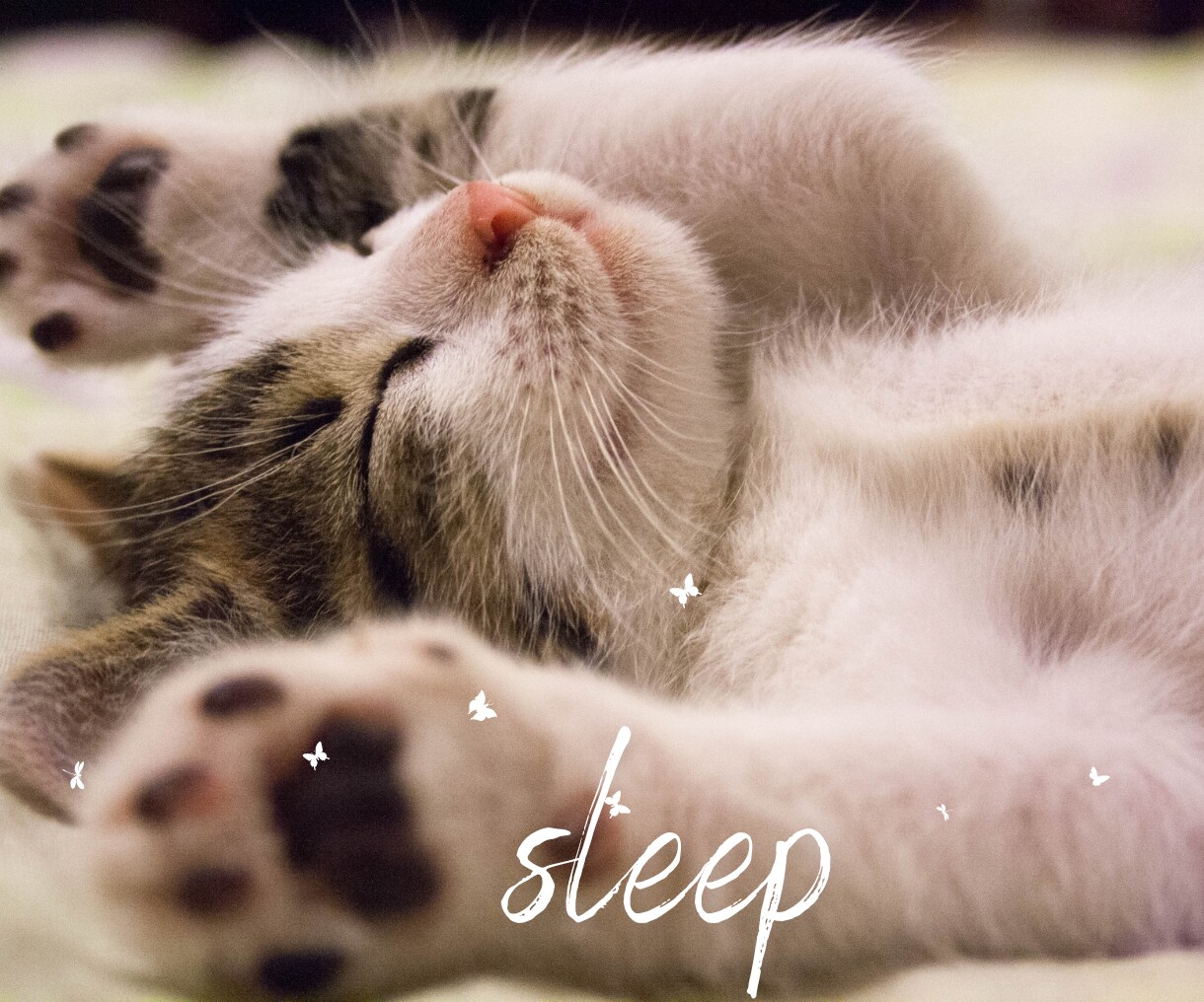 眠れない眠たくないあなたに寄り添い眠りを誘います 眠れない/寝たくない/話し相手/温もり/安心/寝落ちOK イメージ6
