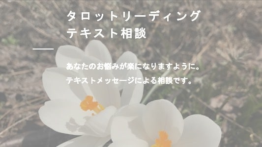 タロットカードを用いてあなたの心を占います あなたの心が少しでも楽になるようにお手伝いさせてください。 イメージ1