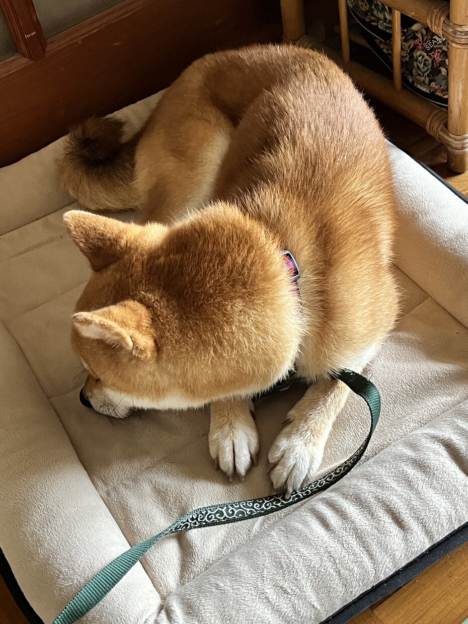 女性限定　あなたを安心させて話せる電話相談します あなたの気持ち、全部受け止めます イメージ1